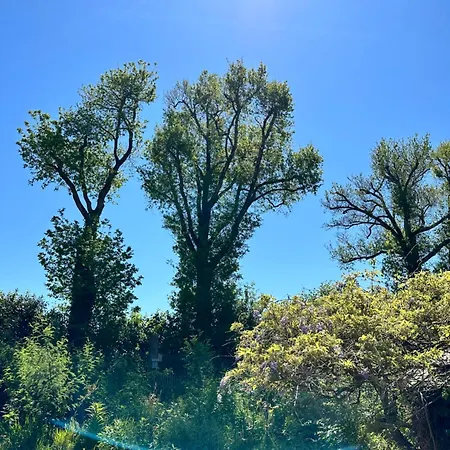 Ferienhaus 3 Maisons A La Campagne A Dix Minutes Des Plages De La Presqu'ile Guerandaise- Ideal We Au Calme- Teletravail Wifi Fibre- Netflix,canal, Disney, Prime- Animaux Acceptes *