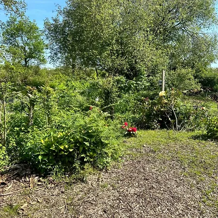 Maisons A Dix Minutes Des Plages Nyaraló *