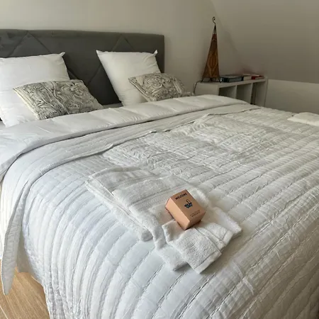 Tatil Evi 3 Maisons A La Campagne A Dix Minutes Des Plages De La Presqu'ile Guerandaise- Ideal We Au Calme- Teletravail Wifi Fibre- Netflix,canal, Disney, Prime- Animaux Acceptes Saint-Lyphard