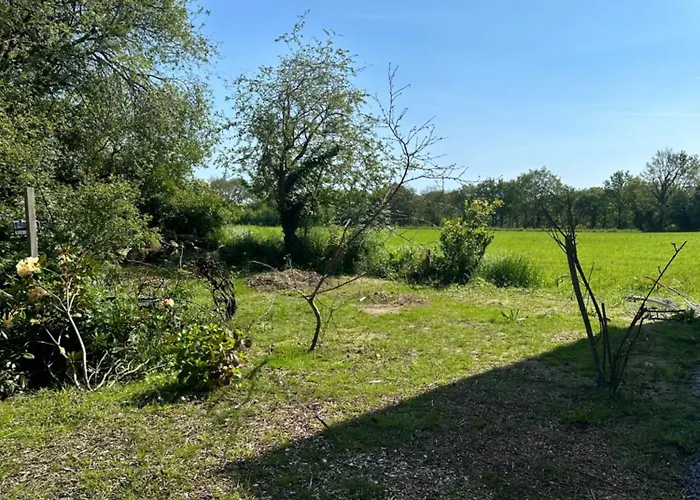 Maisons A Dix Minutes Des Plages Saint-Lyphard